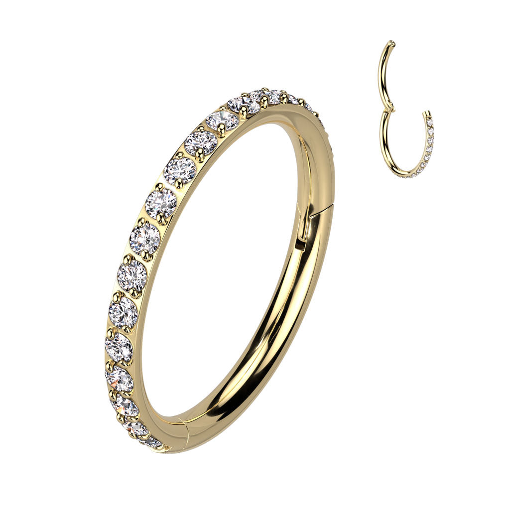 Surgical Steel Hinged Segment Hoop Rings with CZ Paved